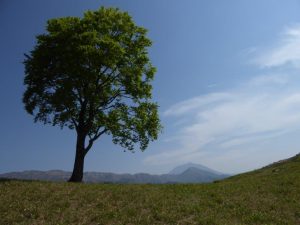 2016-05-22 08.53.42