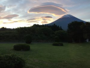 IMG_2914